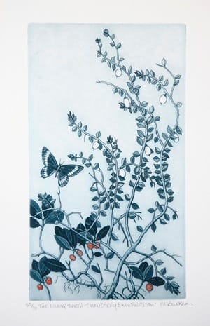 thelivingearth-snowberry